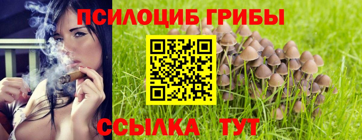 Псилоцибиновые грибы ЛСД  Галлюциногенные грибы Psilocybine cubensis  Фрязино  наркошоп  Вход с VPN 
