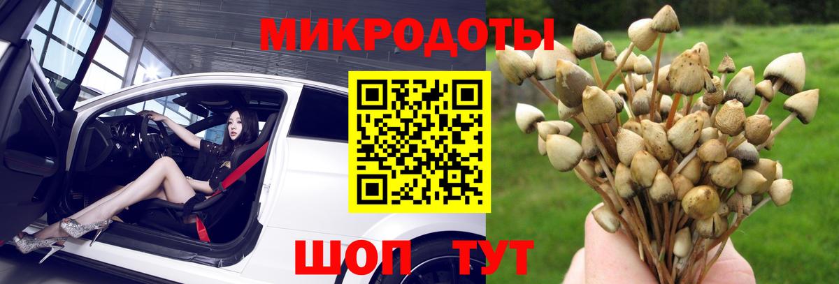 Галлюциногенные грибы мухоморы Фрязино